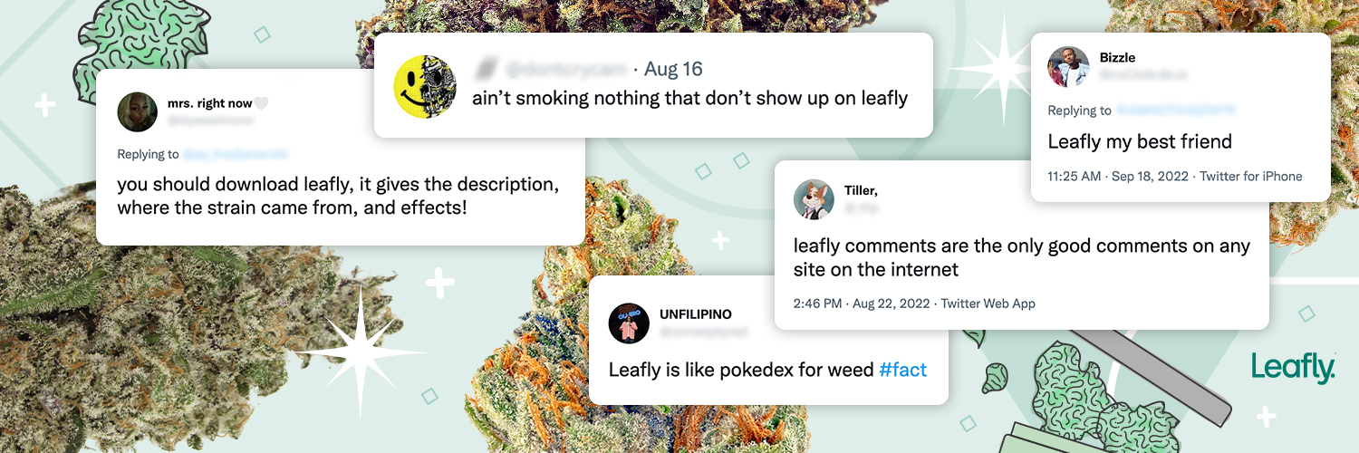 Leafly's banner