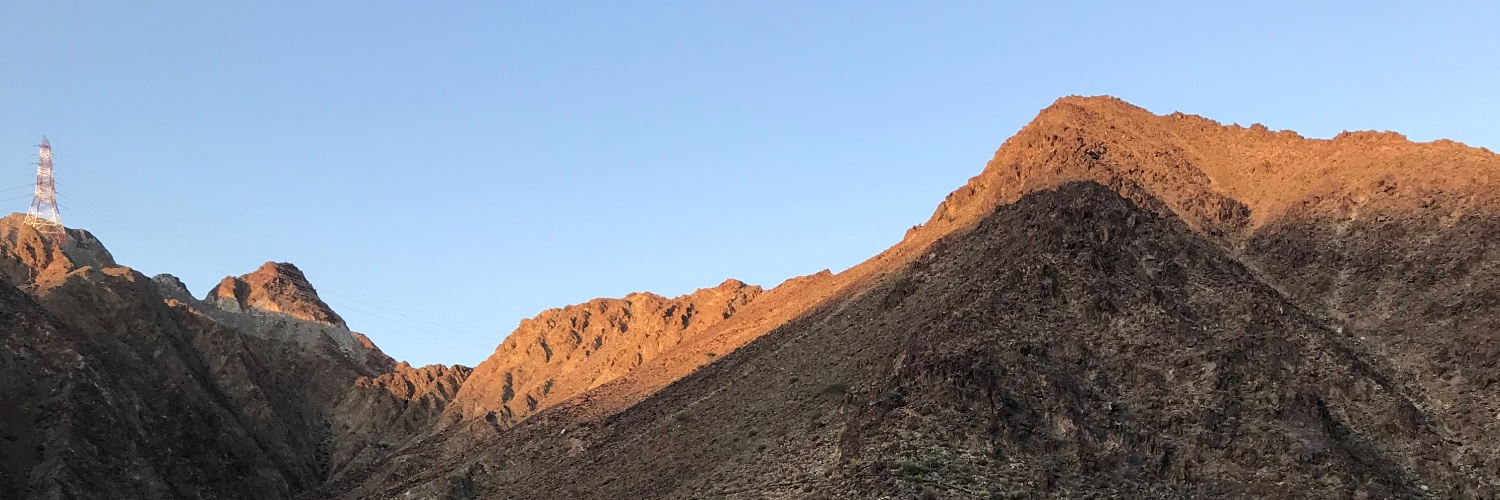 NicheCliche's profile banner image