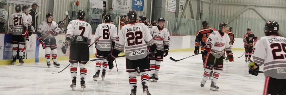 Fort Frances Lakers banner