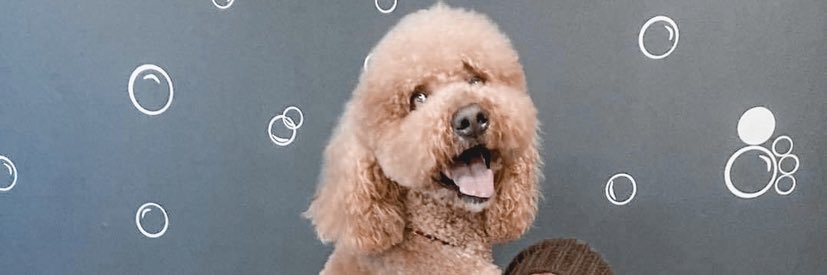 post_nutclarity's profile banner image