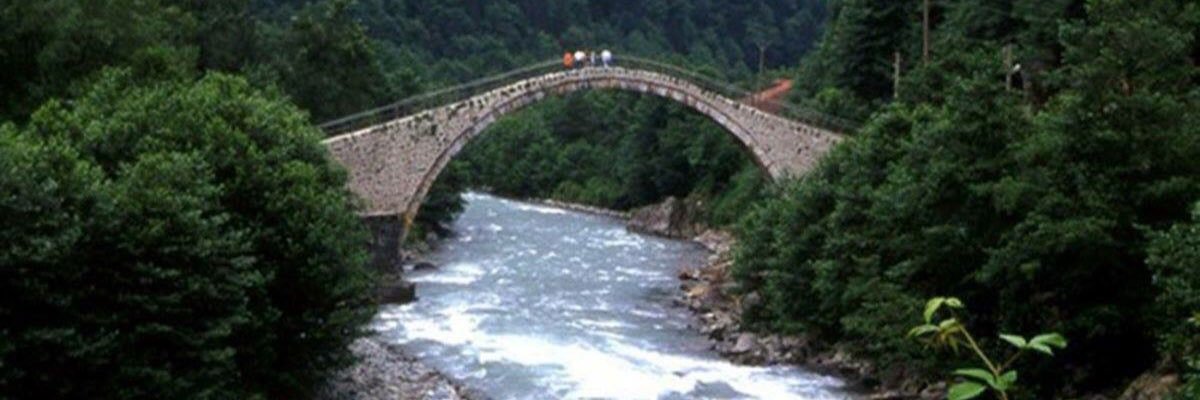 oyanikoglu's profile banner image