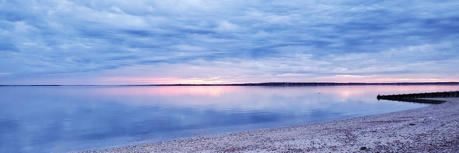 Christian L. Tom banner