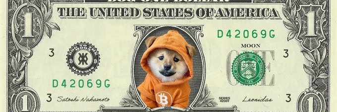 Snap71_🧡$Dog banner