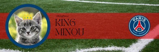 King Pinou 🇫🇷 banner