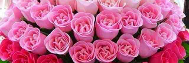 MissFloraS's profile banner image