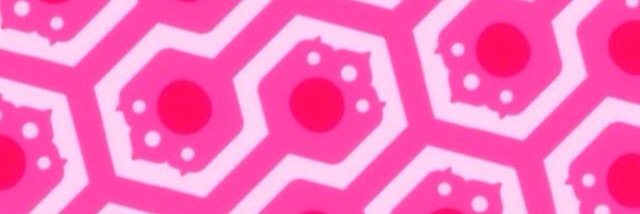 heckraiser11's profile banner image