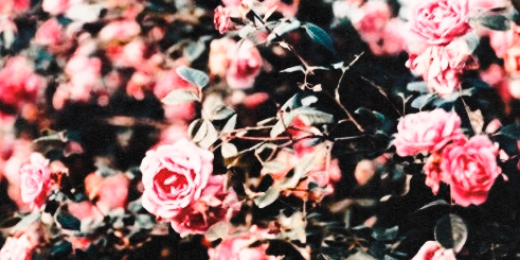 leighsprincess's profile banner image