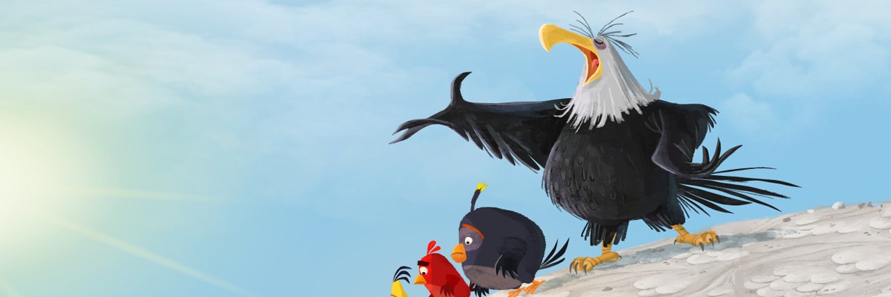 solanabird_sol's profile banner image