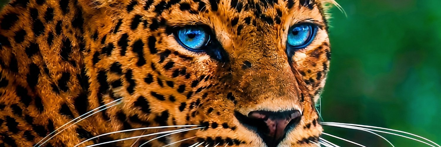 Modernbilgiler's profile banner image