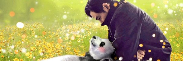 Amkiddee Profile Banner