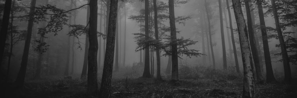 ماذا عن حياتي😶‍🌫️🥱 banner