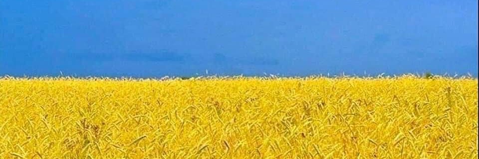davidwheeler's profile banner image