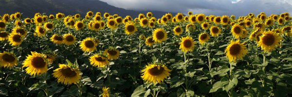 gwilzz Profile Banner