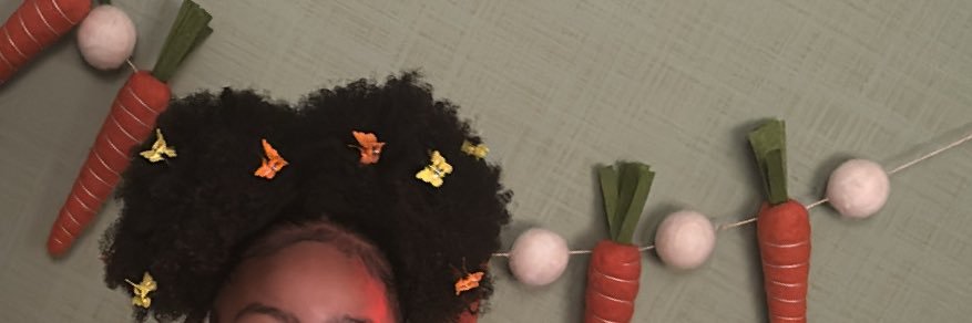 frekclemonsterr's profile banner image