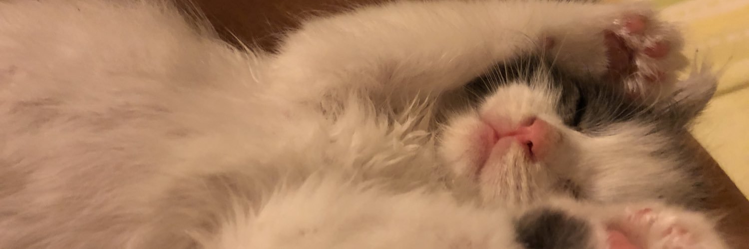 MTUPUZ's profile banner image