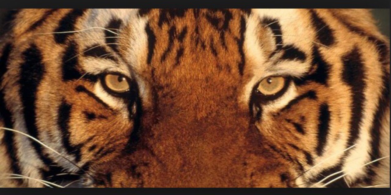 itarodricse's profile banner image