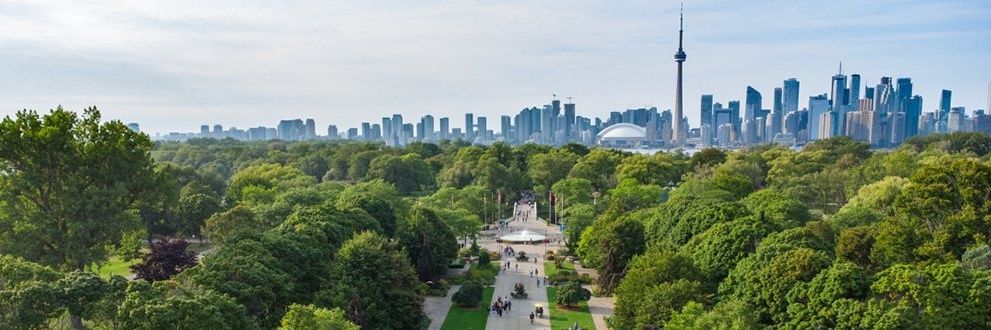 MaseB🇨🇦🍁 banner