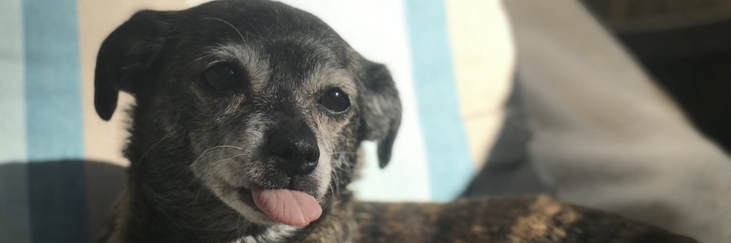 sharonxbby's profile banner image