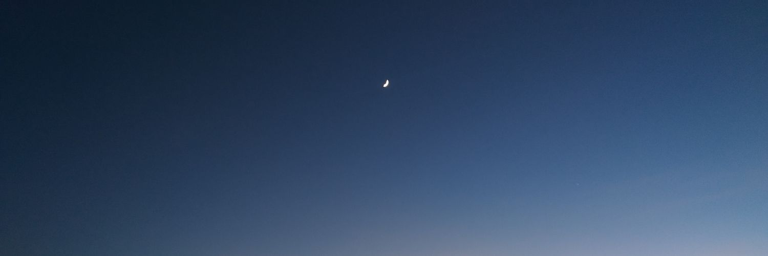 tradervampire's profile banner image