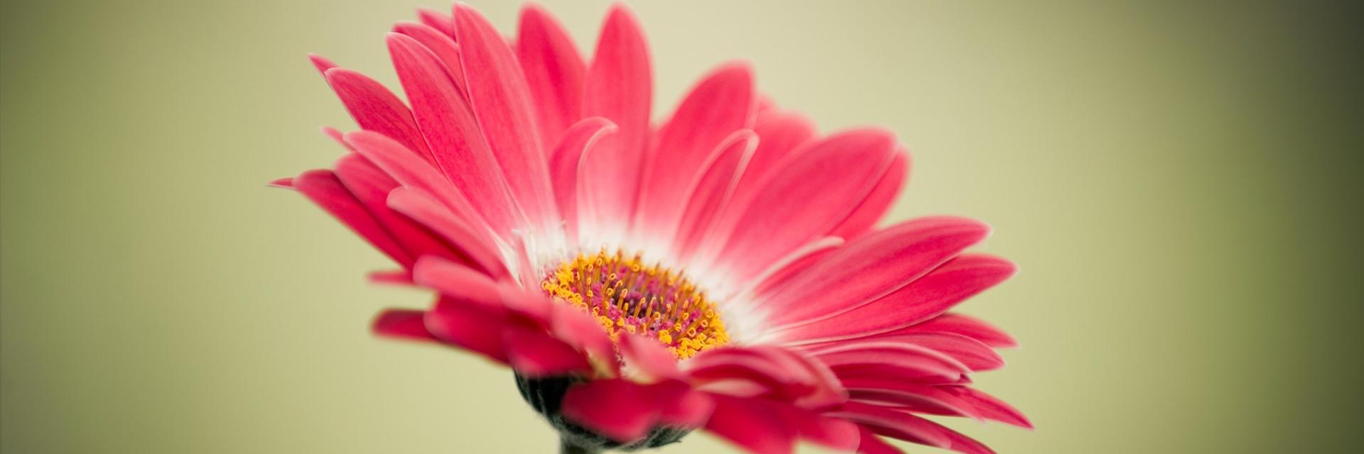 12DNE's profile banner image