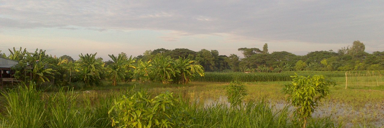 cambodany's profile banner image