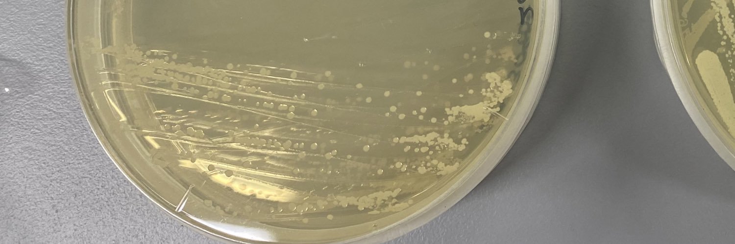 Suisui_Bio_Un's profile banner image