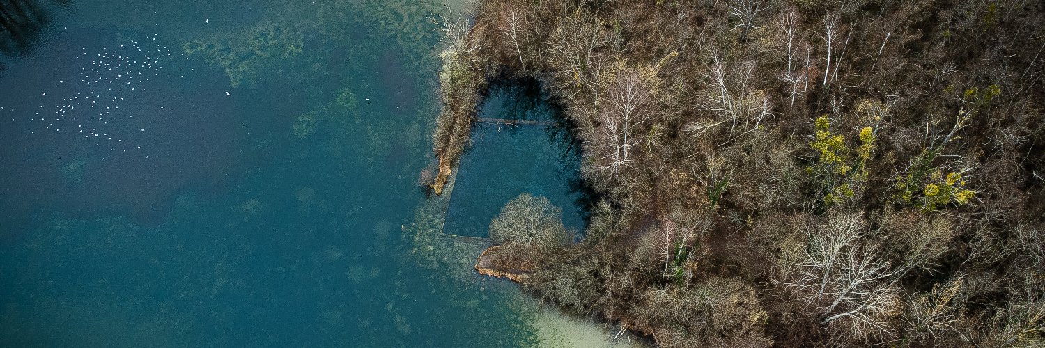 Elodie Montharoux banner