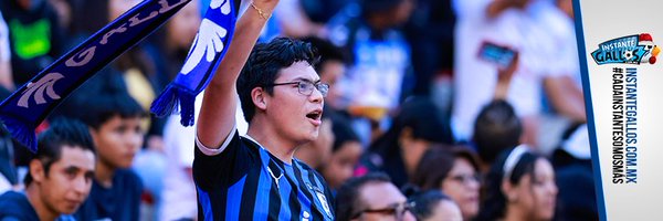 Instantegallos Profile Banner