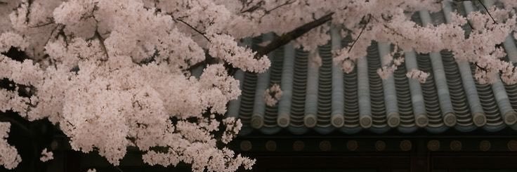 i7uaaa's profile banner image