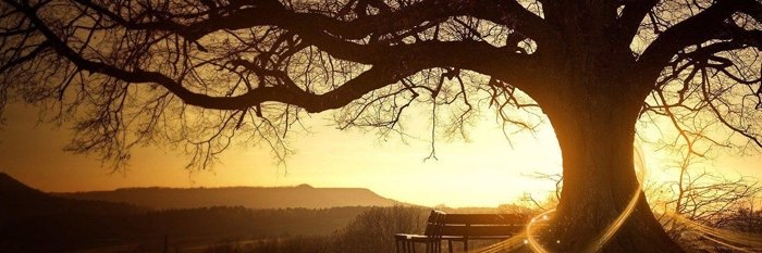 mlemming92's profile banner image