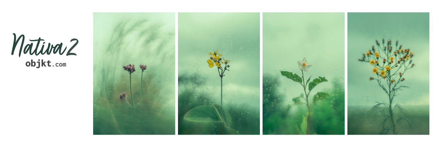 Mellodora's banner