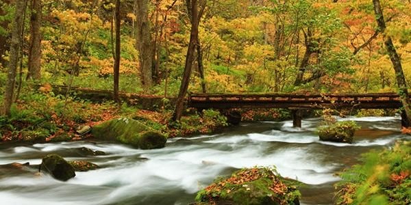 j23124's profile banner image