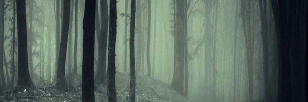 VityaBunin's profile banner image