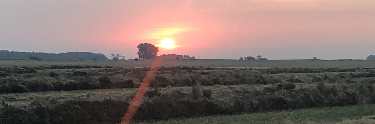 Marc Boulanger banner