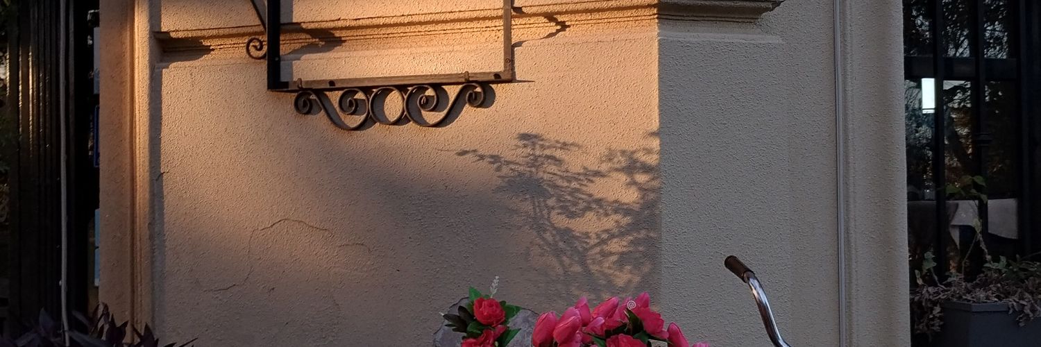 dammapinto's profile banner image