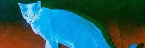 iamjohnnybegood's profile banner image