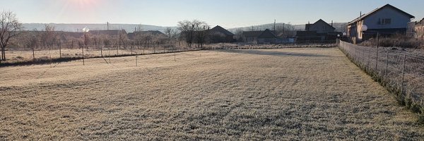 parvulescubio Profile Banner