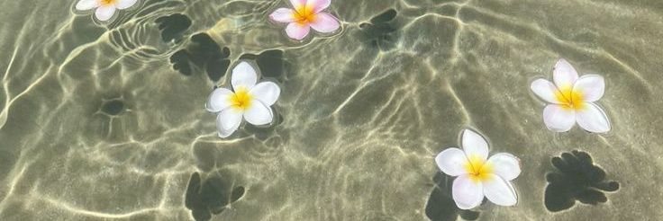 قهوه بدون کافئین banner