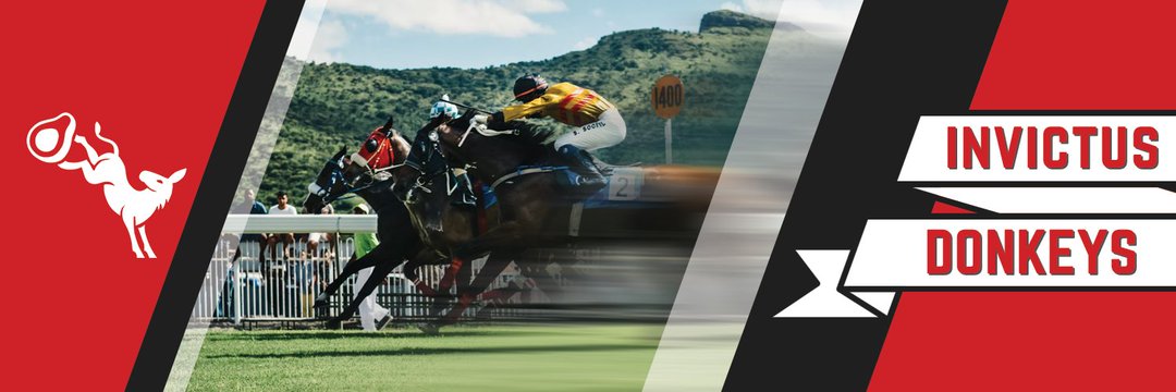 Invictus Donkeys banner