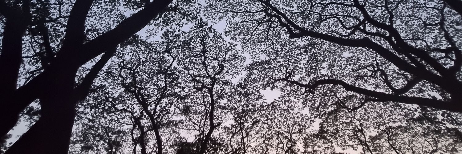 MatotAtty's profile banner image