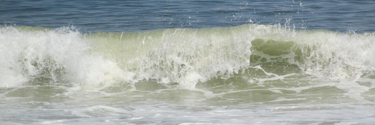 Cape Cod Wave's banner
