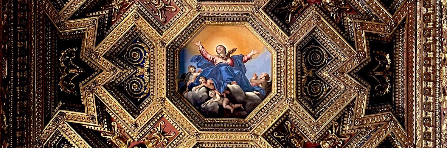 🇻🇦Dr. Pius🇻🇦 (Pater Familias) banner