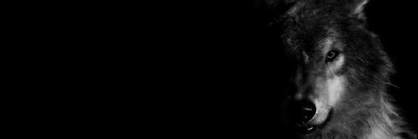 urfavsatan's profile banner image