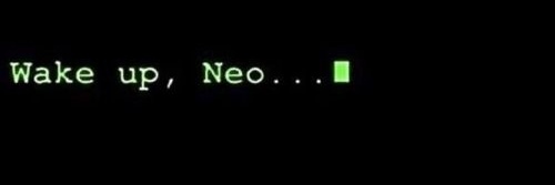 Alex | No ducks to give banner