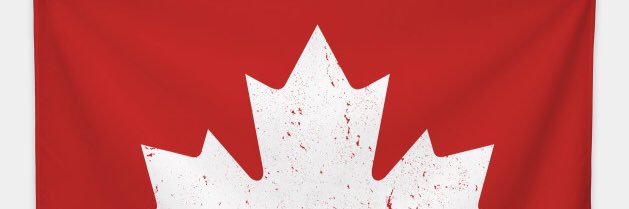 lishybee's profile banner image