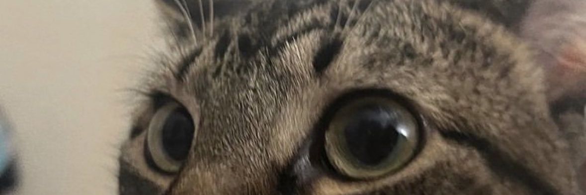 savaxth's profile banner image