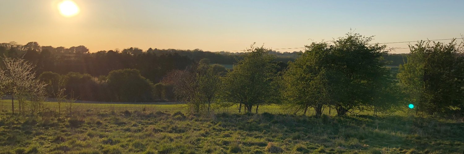 Chris Parsons banner