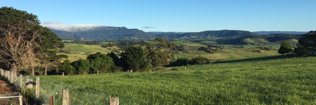 Peter G Gibson banner