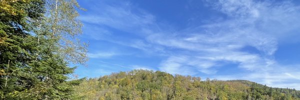 Cubic242 Profile Banner