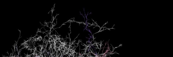 fxhashdrops Profile Banner